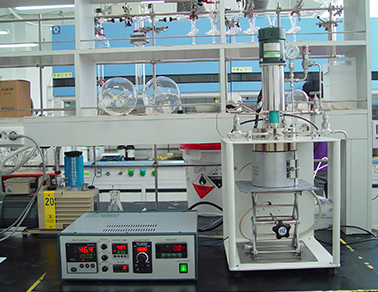 03_Products_01_Chemical_Reactor_01_22-31.jpg